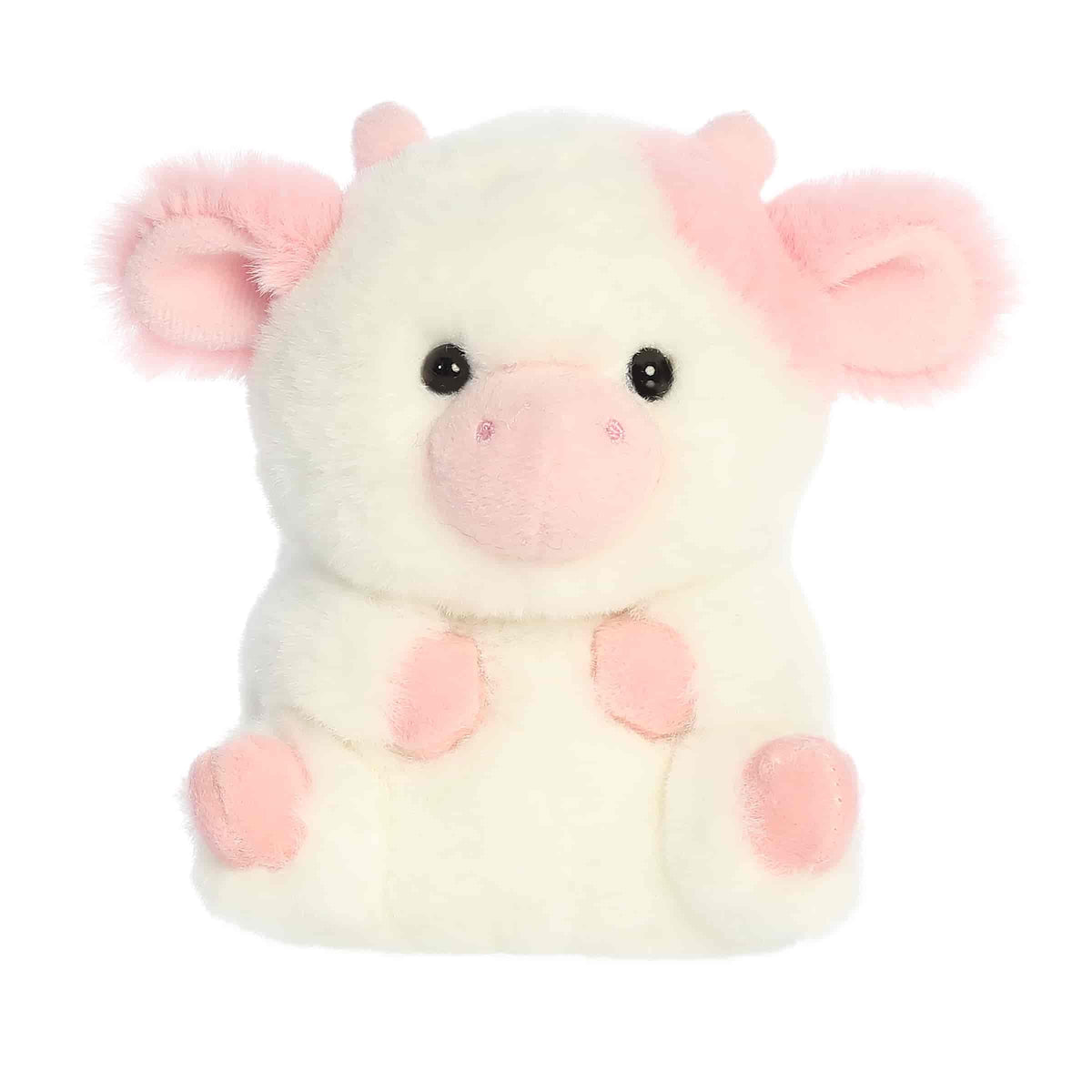 '- Rolly Pet - 5