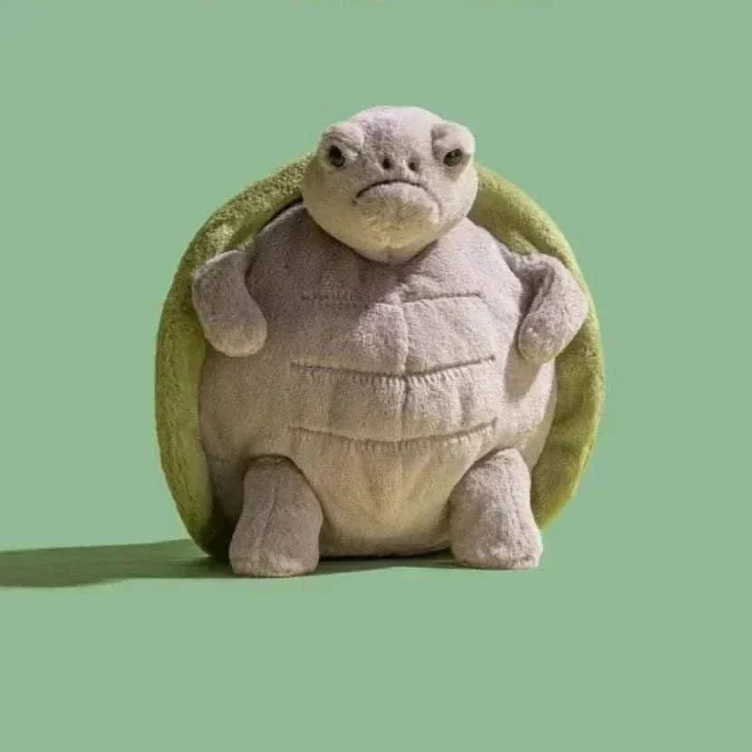 Timmy Turtle Plush Toy